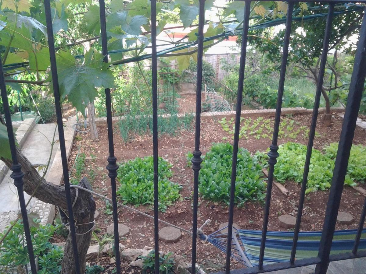 Apartment Mile Sibenik Luaran gambar