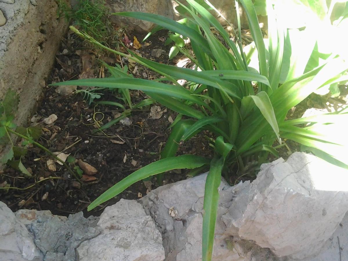 Apartment Mile Sibenik Luaran gambar
