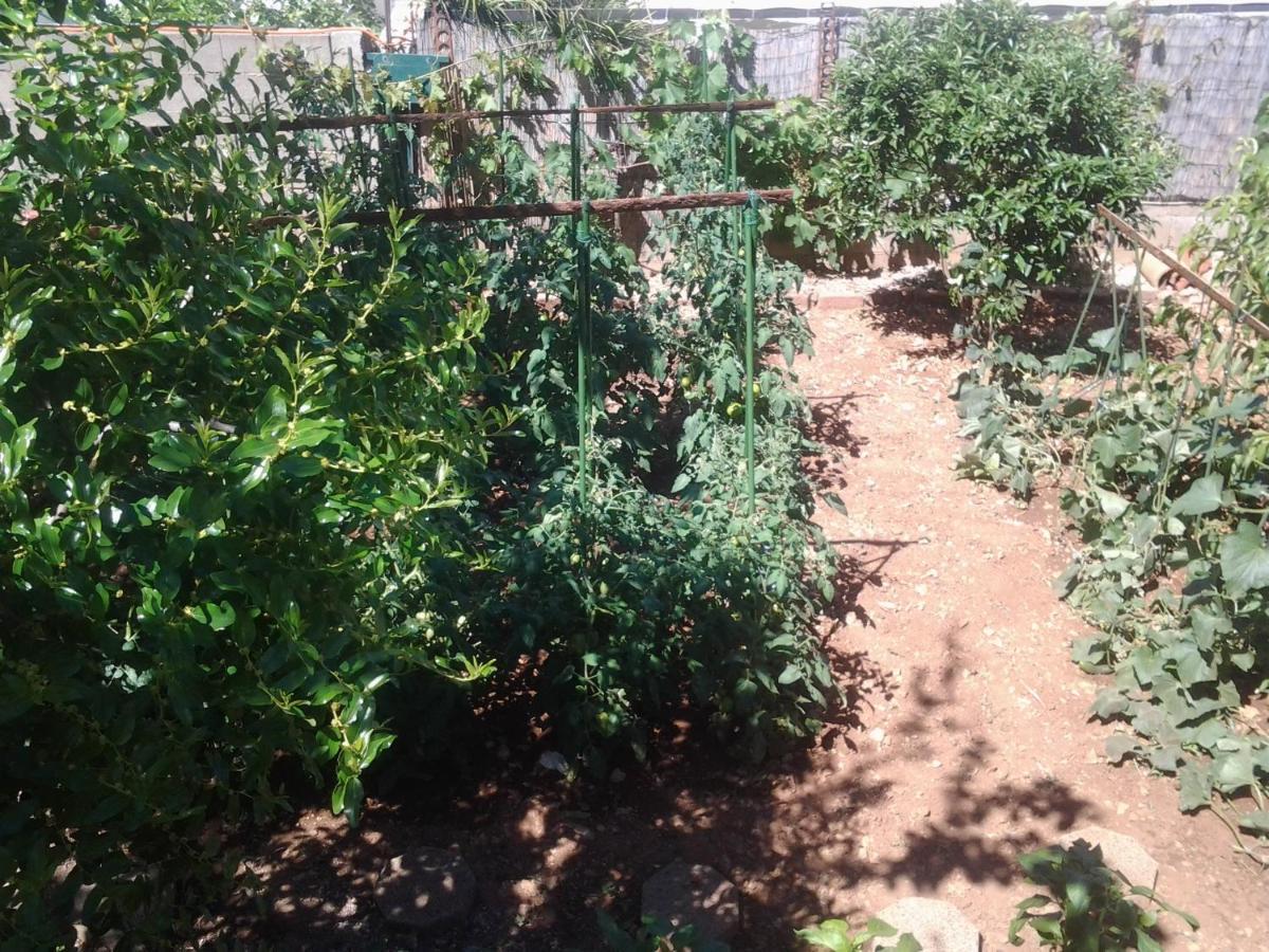 Apartment Mile Sibenik Luaran gambar