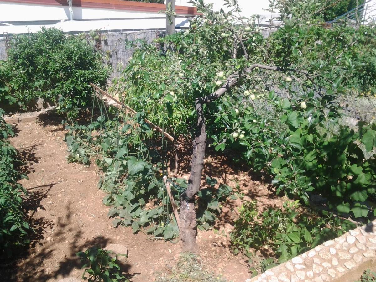 Apartment Mile Sibenik Luaran gambar